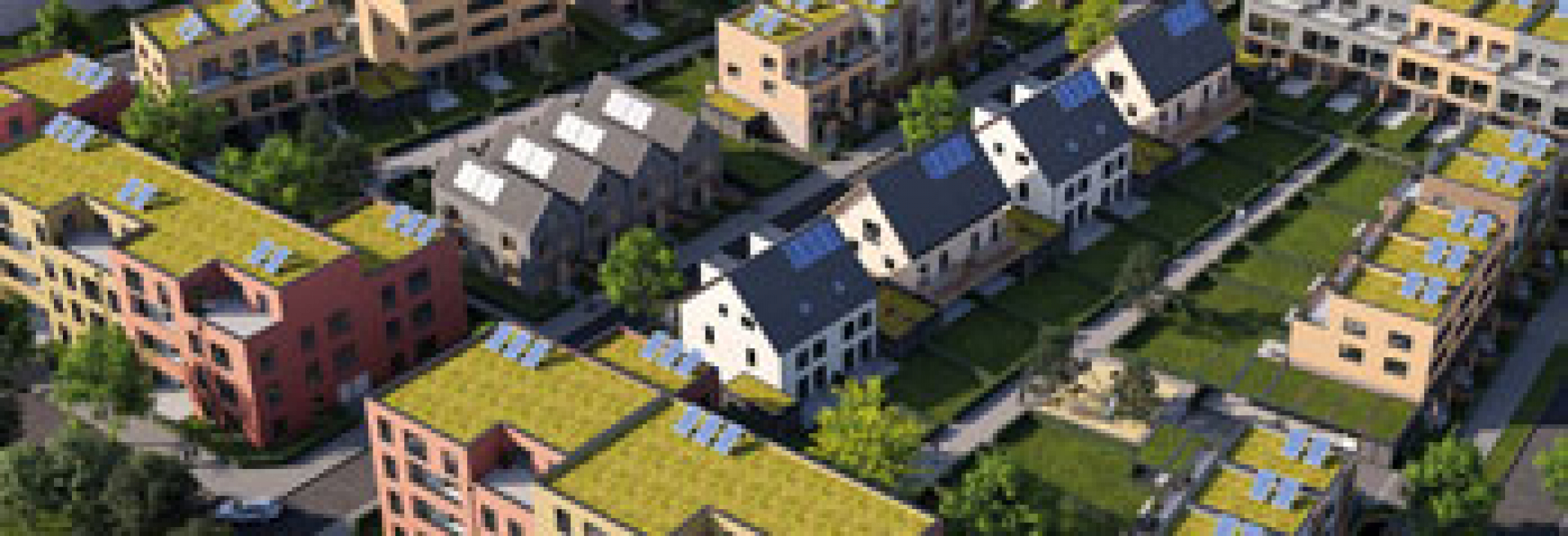 Terra Real Estate Manager baut 300 Wohneinheiten für Rondorf